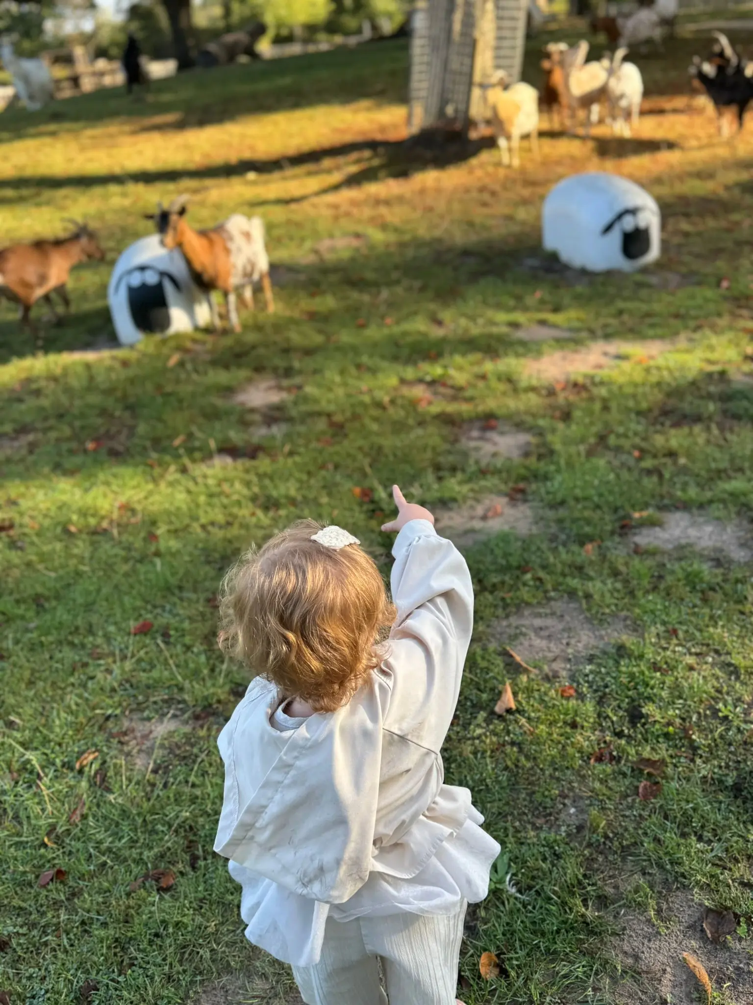 Kinderen op de kinderboerderij bij De Zonnesnoetjes